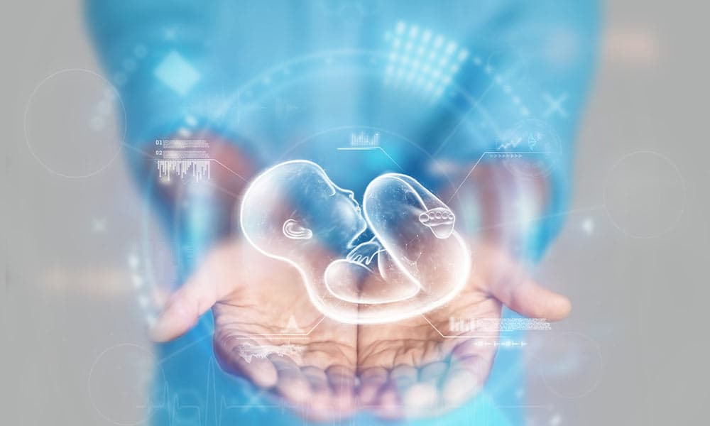Comprehensive Guide to IVF and Fertility Treatments in Bangalore